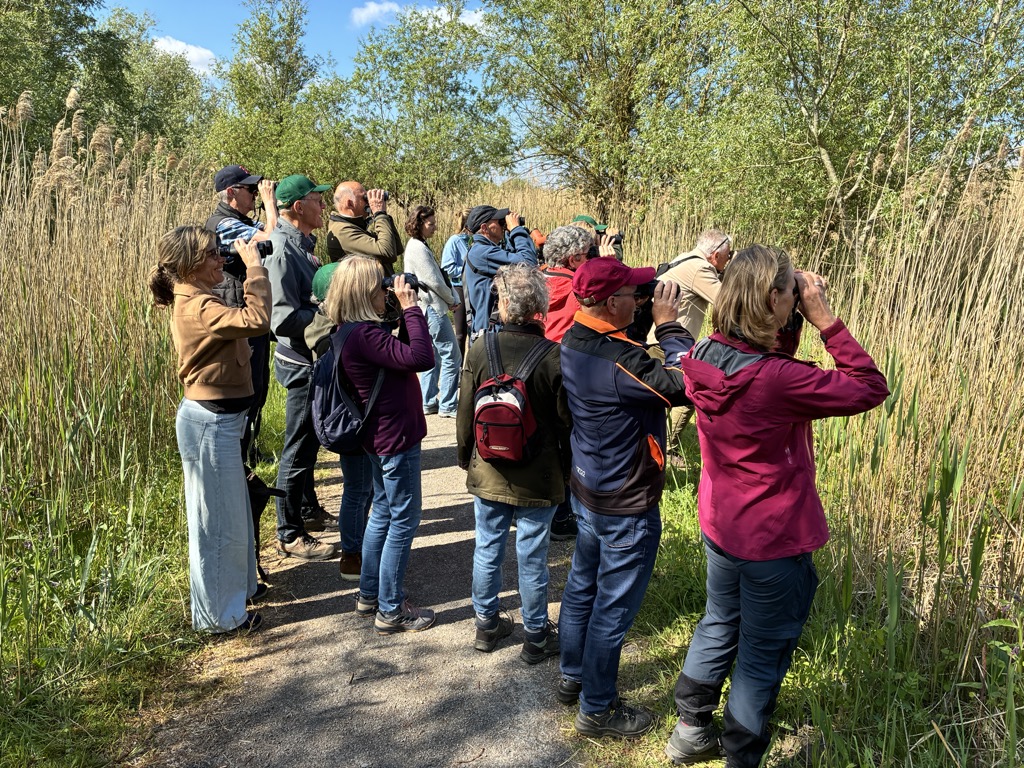 (Oostvaardersplas). Foto van Bert Staal.
Kijkers in het riet